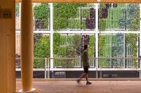 We are dedicated to transforming spaces to connect people to a greener, healthier & happier environment! These Vertical Farms Turn Unused City Wall Space Into Gardens That Gro