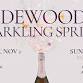 Sidewood's Sparkling Spring Saturday (18+) event image