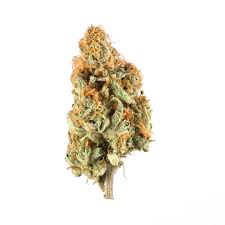 Check spelling or type a new query. Orange Creamsicle Marijuana Strain Information Leafly