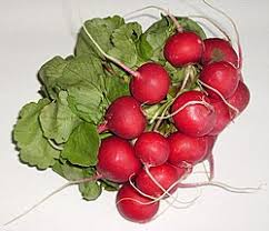 Image result for Raphanus sativus