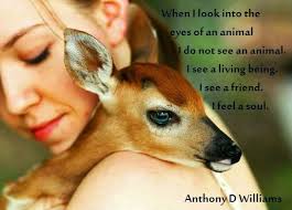 When I Look Into The Eyes Of An Animal I Do Not See An Animal When I Look Into The Eyes Of An Animal I Do Not See An Animal I See A Living Being I See A Friend I Feel A Soul Animals Animals