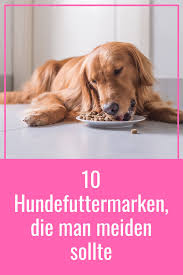 10 Hundefuttermarken Hinter Denen Grosse Konzerne Stehen Midoggy Community In 2020 Hunde Futter Hunde Hundefutter