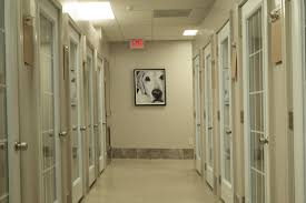 The best dog boarding, dog grooming and dog training available in millville, nj. Deltadog Oxford Ms