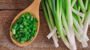 Daun bawang dikenal sebagai tanaman yang membutuhkan banyak air. Dijamin Anti Gagal Begini Cara Menanam Daun Bawang Sisa Dapur Dengan Menggunakan Air Tribun Batam
