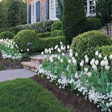 Go For Bold With 3 Mass Planting Ideas Moon Garden White Plants Plants