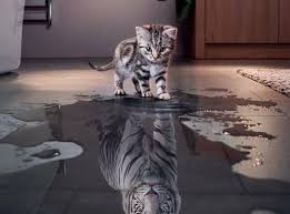 Image result for believe in yourself