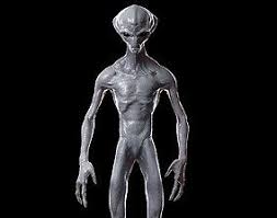 Grey Alien 3d Model In 2020 Grey Alien Alien 3d Model
