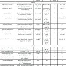 Contohnya wang tunai dibayar untuk membeli sebuah mesin atau. Pdf Small Gtpases Of The Ras Superfamily Regulate Intestinal Epithelial Homeostasis And Barrier Function Via Common And Unique Mechanisms