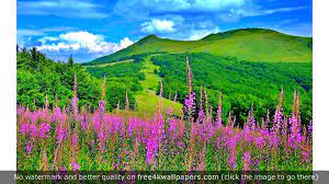 Looking for the best wallpapers? Wyoming Scenery Spring S 4k Wallpaper Beautiful Nature Spring Spring Landscape Landscape Wallpaper