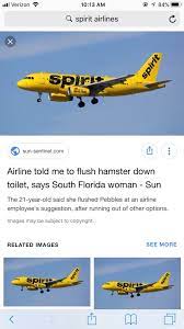 (save) stock quote, history, news and other vital information to help you with your stock trading and investing. Spirit Airlines Is The New Meme