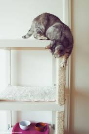 Diy Un Arbre A Chat Ikea Princesse Guerriere Arbre A Chat Arbre A Chat Diy Ikea