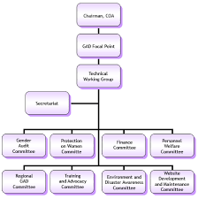 Commission on audit organizational chart. Organizational Structure