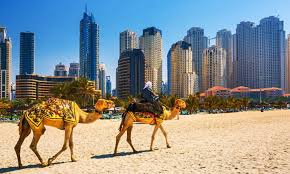 Average salary amongst singapore lawyers $8775/ mth. Working In The Middle East A Guide For Nqs Hydrogen Group