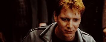 𝐡𝐚𝐫𝐫𝐲 𝐩𝐨𝐭𝐭𝐞𝐫