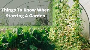 Check spelling or type a new query. 10 Spectacular Things To Know When Starting A Garden By Adam Silvia Medium