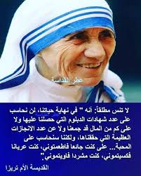 Nabil Salameh (nabils82017)