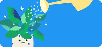 Veronica: How Much Water & Light Does it Need to Thrive?