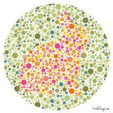 The images are either hidden signs and letters or a handful of colors which you have to match to a choice of color names. Color Blind Test For Hunter