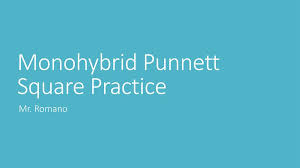 Examine the following punnett squares and circle those that are correct. Monohybrid Punnett Square Practice Ppt Download
