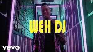 Busiswa Kaygee The Vibe Weh Dj Video Dj Video Latest Music Videos Vibe Video