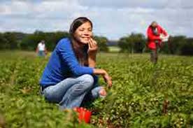 Open on weekends by reservation only. The Best Kid Friendly Farm Markets And Farms In New Jersey