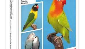 Check spelling or type a new query. Parblue Mutations Ppr Partial Psittacine Reduction Dirk Van Den Abeele