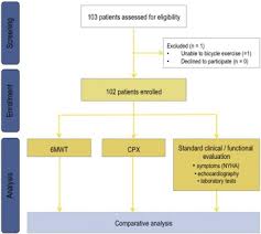 Steffen tm, hacker ta, mollinger l. Diagnostic Value Of The Six Minute Walk Test 6mwt In Grown Up Congenital Heart Disease Guch Comparison With Clinical Status And Functional Exercise Capacity International Journal Of Cardiology