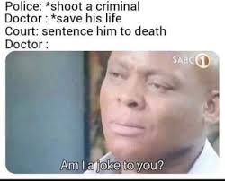 Found On Copper Copper Funny Memes Jokes Really Funny