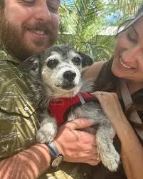 Jessie is adopted! This senior has never truly had a home that loved and  cared for her… being in and out of the shelter system her entire life….  Jessie was saved a