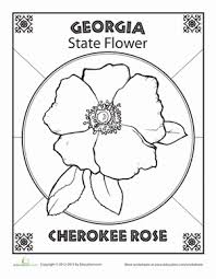 Some Flowers Have Better Names Than Others Can You Think Of A Sweeter Name Than Cherokee Rose The Name Of Ge Rose Coloring Pages Georgia Tattoo Georgia State