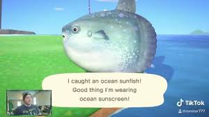 Animal crossing new horizons has been out for a week and fans are looking forward to april thanks to easter and earth day events. Ocean Sunfish Catch Acnh Video Funny Animal Videos Animal Crossing Cute Animals