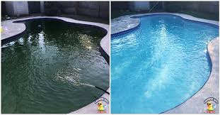 Shock the pool at twilight, when the sun is dropping below the horizon, mix one package of shock treatment with 3 gallons of warm water. How To Clean A Pool Filter Our Work Chlorine King Pool Service Fl