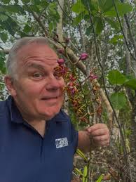 Please visit the Taiping Carpets and Edward Fields showroom during Design  Chicago!! Space 1487