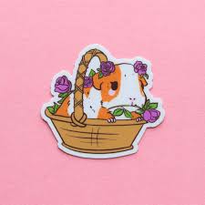 Pin On Guinea Pig Stickers Choose from 45000+ pig sticker graphic resources and download in the form of png, eps, ai or psd. pinterest