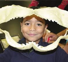 The Maritime Aquarium at Norwalk