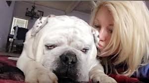 Let. Me. In. !! Ok Goose ❤️❤️