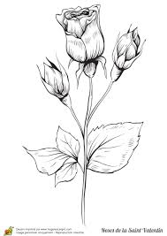 Coloriage Roses Saint Valentin Coloriage Rose Dessin Rose Dessin Rose Facile
