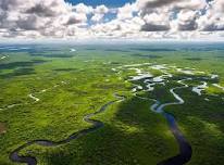 2026 Everglades Invasive Species Summit (ECISMA)