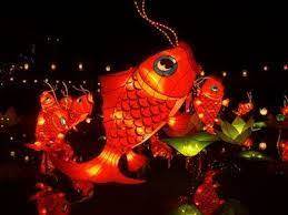 Festivals And Celebrations Google Search Chinese Lantern Festival Fish Lanterns Chinese Lanterns