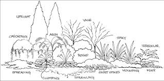 Landscape architects do design gardens, but what is critical is that the garden, or any other outdoor space, is seen in context. Cir536 Mg086 Basic Principles Of Landscape Design