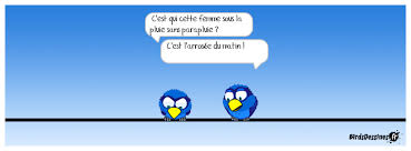 Vous pouvez regarder la vidéo ici je suis désolé pour mon commentaire précédent. Birdsdessines Fr Partagez Vos Birds Dessines