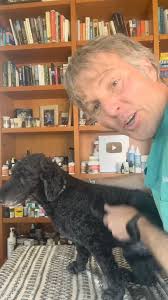 Best OTC antihistamine for Allergic Pets! 📘 Dr. Jones' Free Book:  http://veterinarysecrets.com/news/