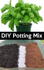 How To Make Your Own Potting Mix Garden Soil Container Gardening Plants