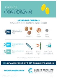Short Chain versus Long Chain Omega-3 Fatty Acids Explained