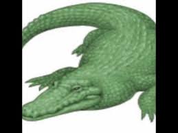 Find the exact moment in a tv show, movie, or music video you want to share. Crocodile Meme Youtube