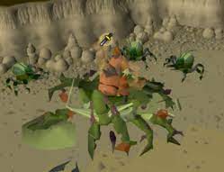 Keep range protection up, flick prayer to mage when you see the queen with lightning above her head. Kalphite Queen Osrs Wiki