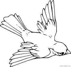 Black yellow short hooked powerful chunky. Falcon Coloring Pages Coloringall