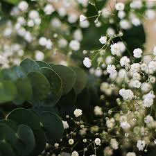 By emma arendoski may 11, 2020. Emerald Green Flowers Fiftyflowers