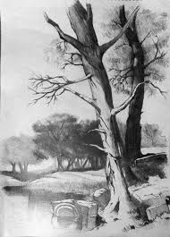 Drawing series > landscape pencil drawings. Pencil Scenery Nature Drawings Art Helps Us To Fill Our Lives With Colors Green Your Life Philly