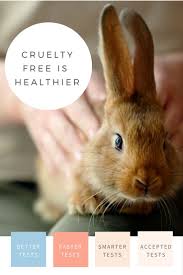 Cruelty Free Cosmetics Are Healthier For You Here S Why Cruelty Free Cosmetics Cruelty Free Cruelty Free Makeup